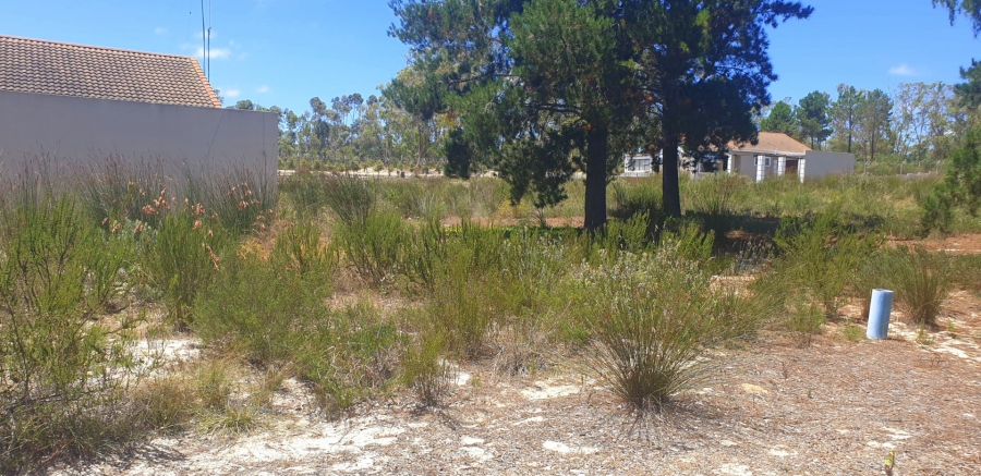  Bedroom Property for Sale in Albertinia Western Cape